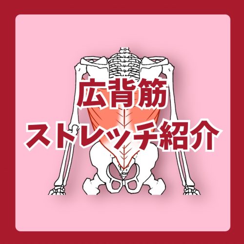 広背筋のストレッチ