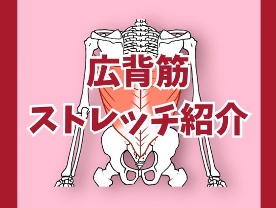 広背筋のストレッチ